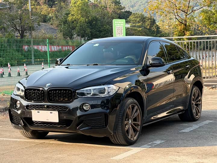 BMW X6 2019 x Drive 35i M — фото 1