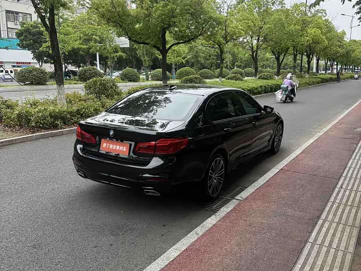 BMW 5-Series 2019 530 Li Leading M — фото 9