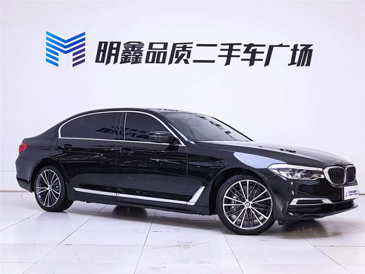 BMW 5-Series 2020 530 Li — фото 5