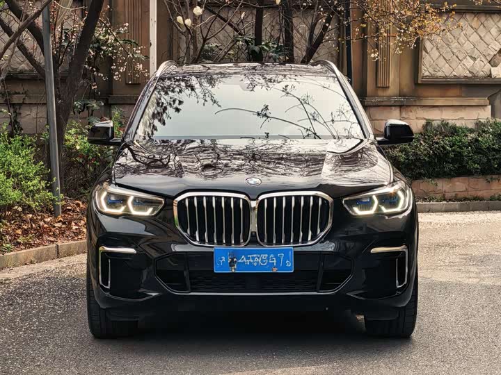 BMW X5 2022 x Drive 30 Li M — фото 2