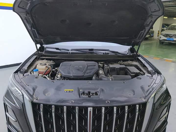 Hongqi HS5 2023 2.0 T 4 WD Pro — фото 10