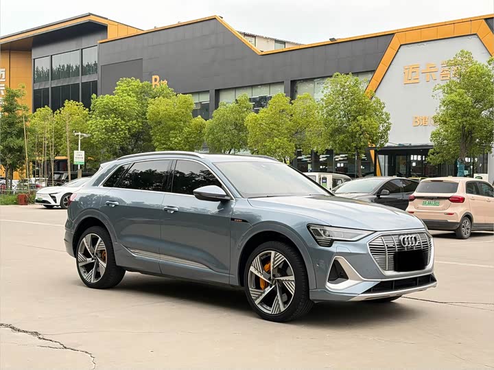 Audi e-tron 50 quattro премиум — фото 3