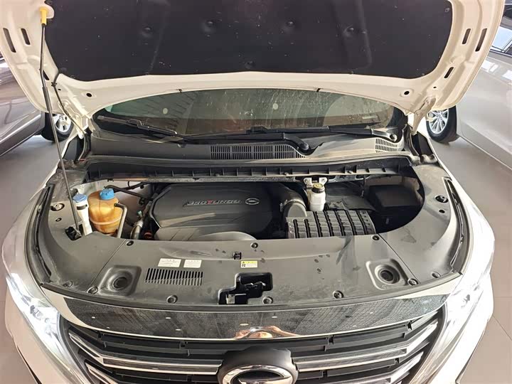 Trumpchi M8 2021 390 T — фото 20