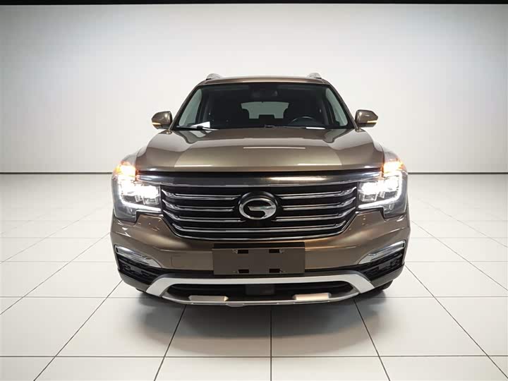 Trumpchi GS8 2017 320 T 2 WD ( ) — фото 3