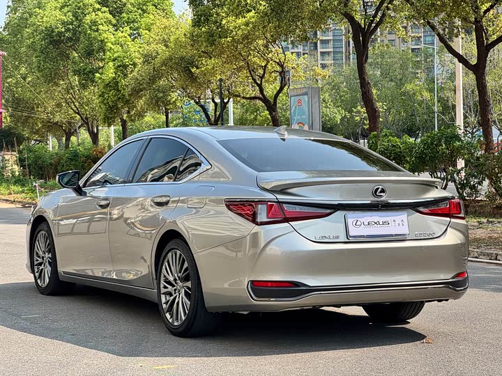 Lexus ES 2018 260 F SPORT V — фото 5