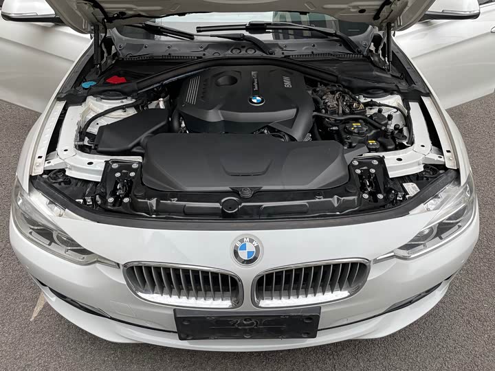 BMW 3-Series 2018 320 Li — фото 10