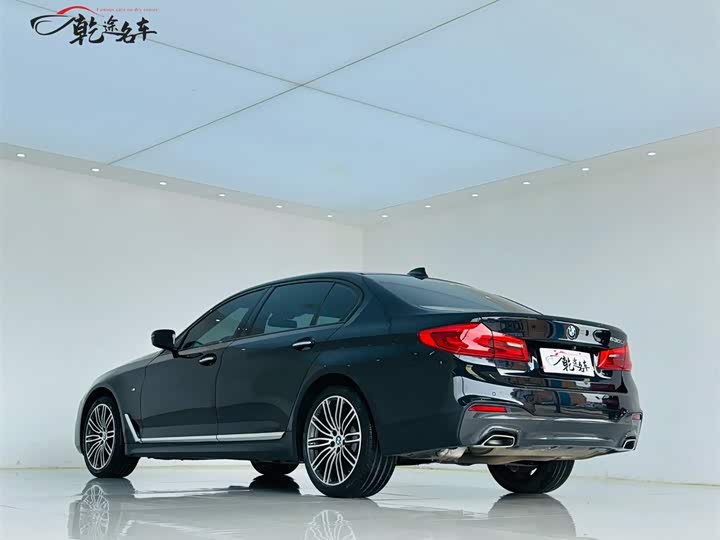BMW 5-Series 2018 530 Li Leading M — фото 5