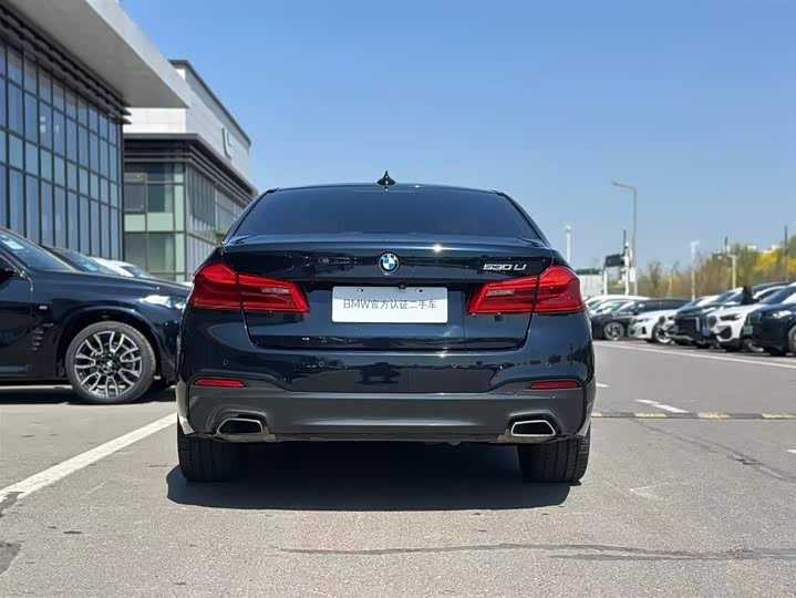 BMW 5-Series 2019 530 Li Leading M — фото 5