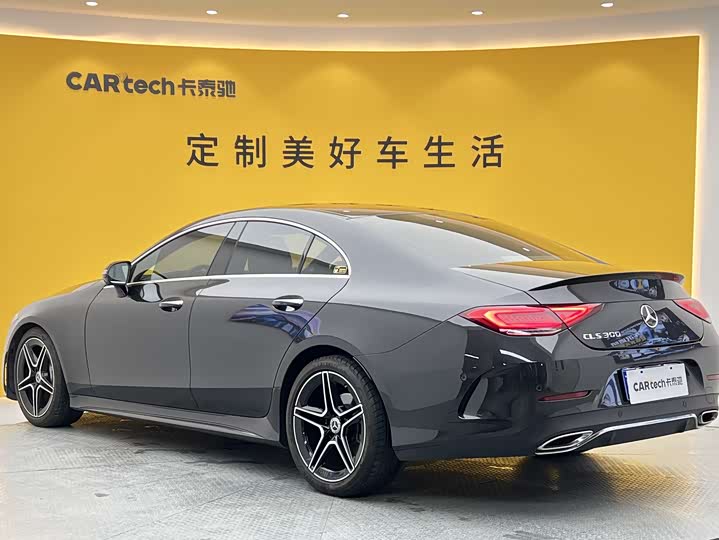 Mercedes-Benz CLS 2021 CLS 300 Luxury — фото 37