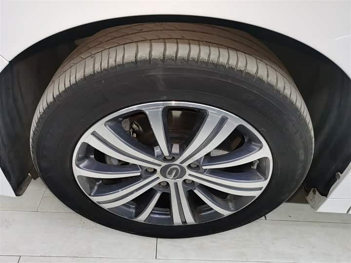 Trumpchi M8 2020 390 T — фото 25
