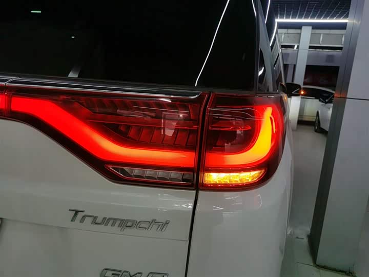Trumpchi M8 2020 390 T — фото 24