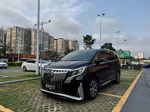 Trumpchi M8 2018 320 T — фото 23