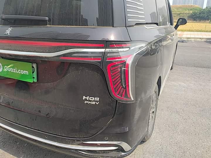 Hongqi HQ9 PHEV 2024 2.0 T 4 WD — фото 8