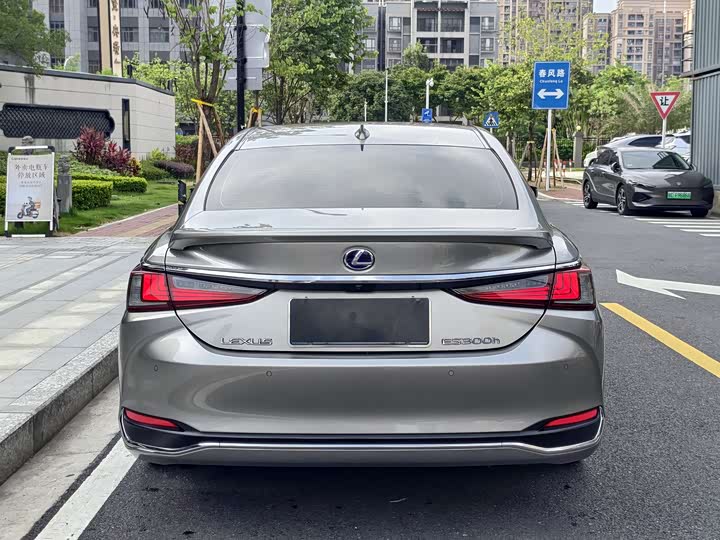 Lexus ES 2020 300h — фото 8