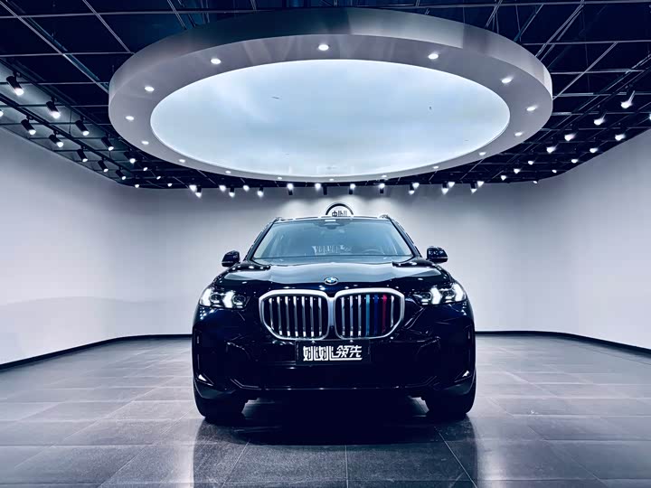 BMW X5 2023 x Drive 30 Li M — фото 2