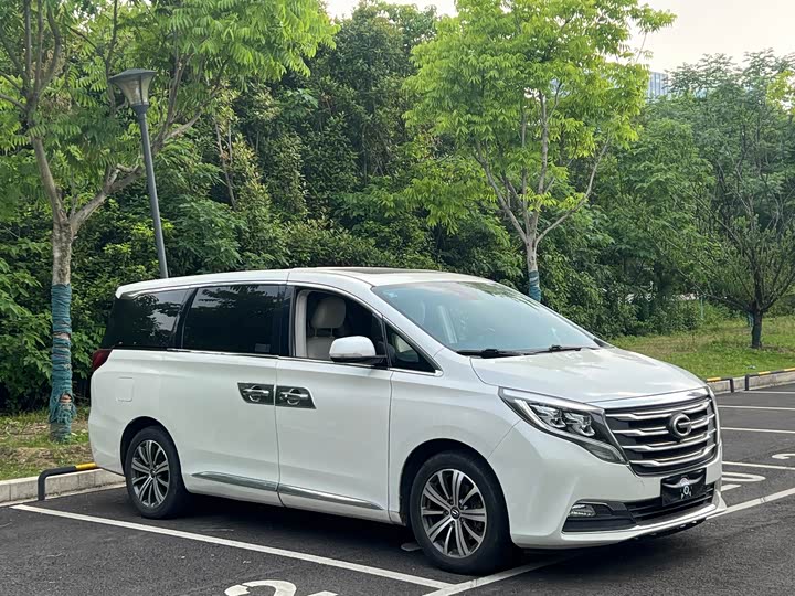 Trumpchi M8 2018 320 T — фото 3