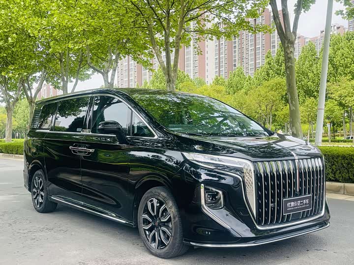 Hongqi HQ9 2023 2.0 T — фото 3