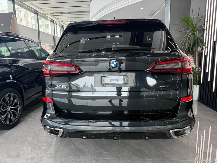 BMW X5 xDrive 30Li M спортпакет — фото 9