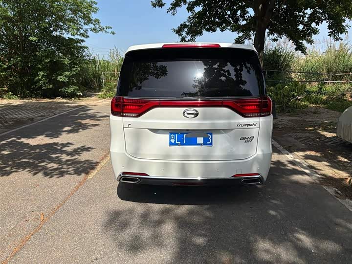 Trumpchi M8 2018 320 T — фото 10