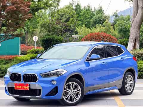 BMW X2 2019 s Drive 25i Luxury M VI — фото 20