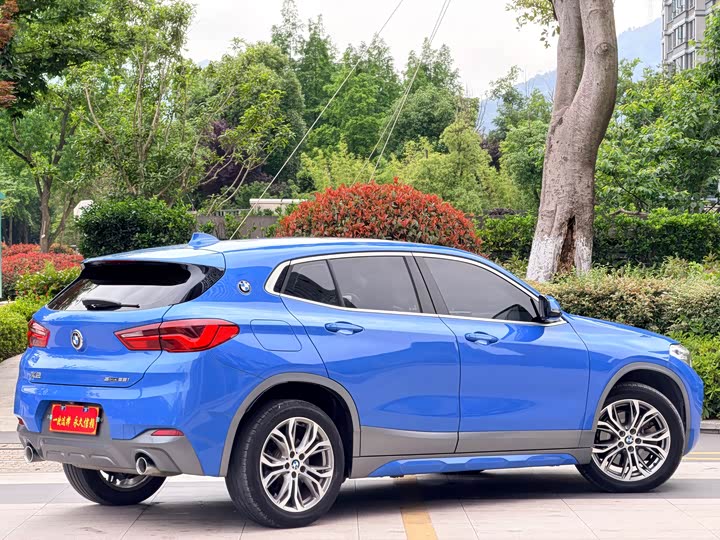 BMW X2 2019 s Drive 25i Luxury M VI — фото 13