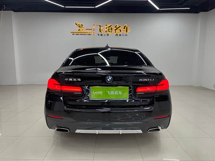 BMW 5-Series 2021 530 Li Leading M — фото 16