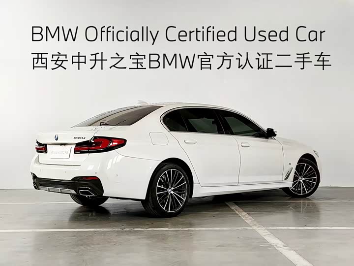 BMW 5-Series 2021 530 Li Leading M — фото 19