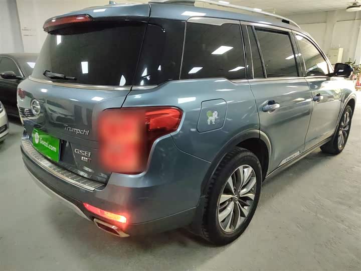 Trumpchi GS8 2017 320 T 2 WD ( ) — фото 5