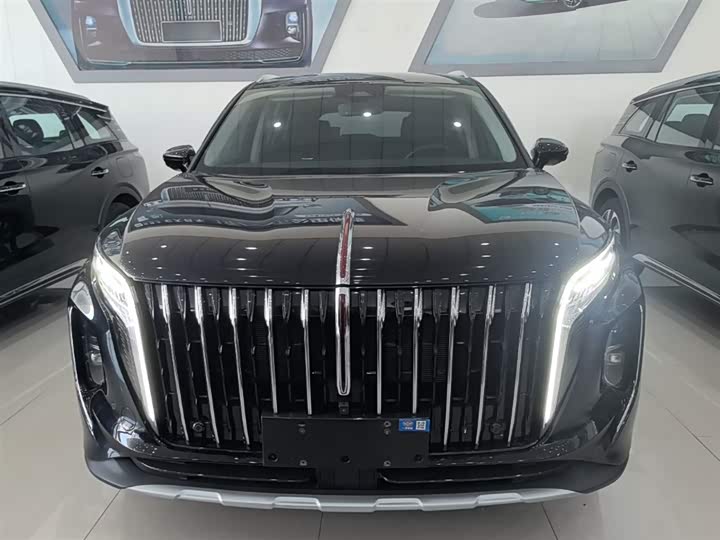 Hongqi HS7 PHEV 2024 2.0 T PHEV 4 WD 6 — фото 3