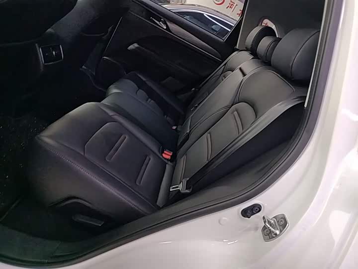 Trumpchi GS4 PLUS 2022 390 T AT — фото 17