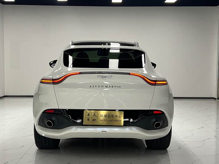 Aston Martin DBX 2021 4.0 T V 8 — фото 5