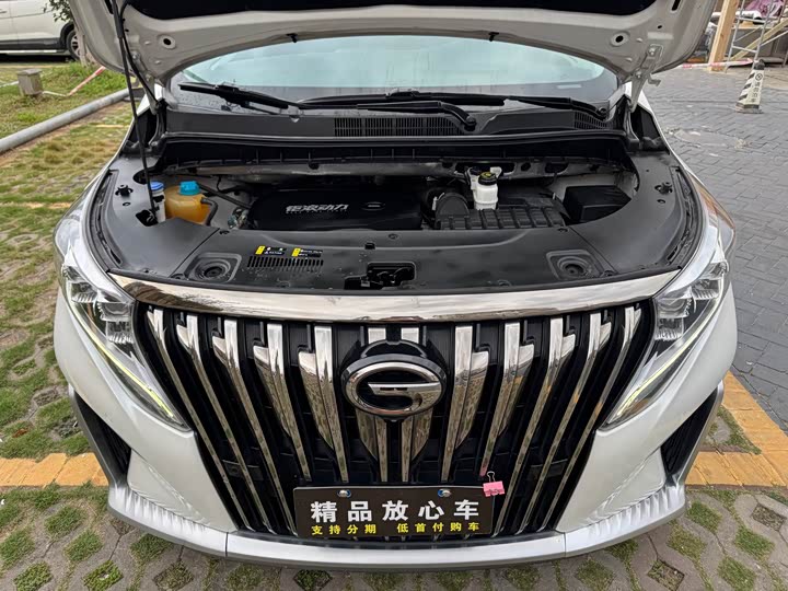 Trumpchi M8 2023 390 T — фото 21
