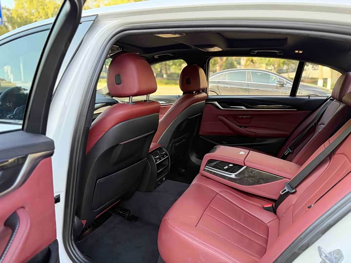 BMW 5-Series 2019 530 Li Leading M — фото 10