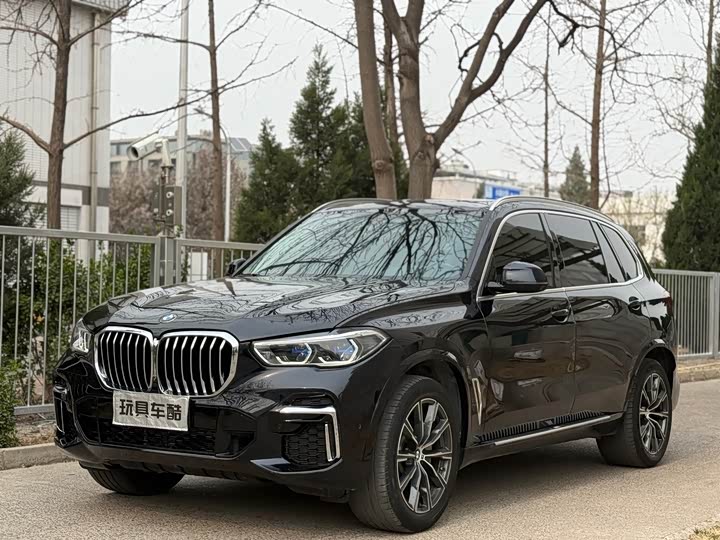 BMW X 5 2022 x Drive 30 Li M