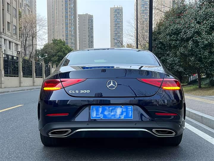 Mercedes-Benz CLS 2020 CLS 300 — фото 4