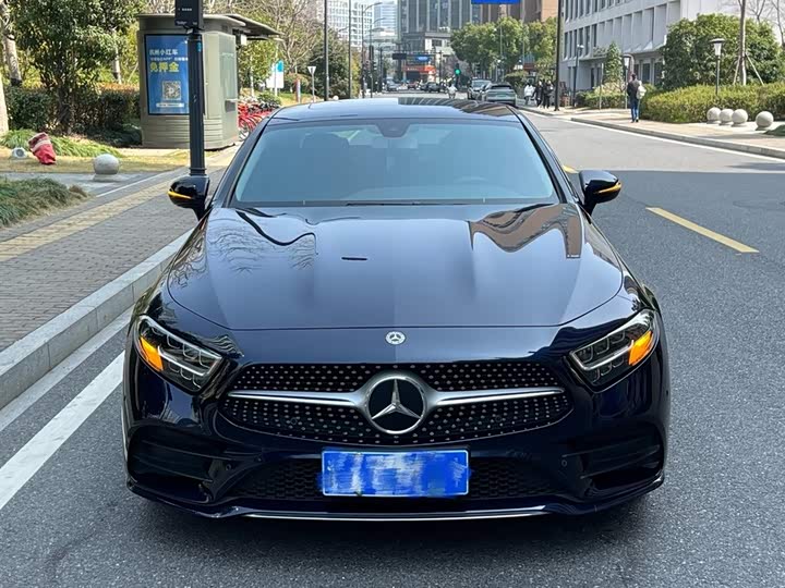 Mercedes-Benz CLS 2020 CLS 300 — фото 2