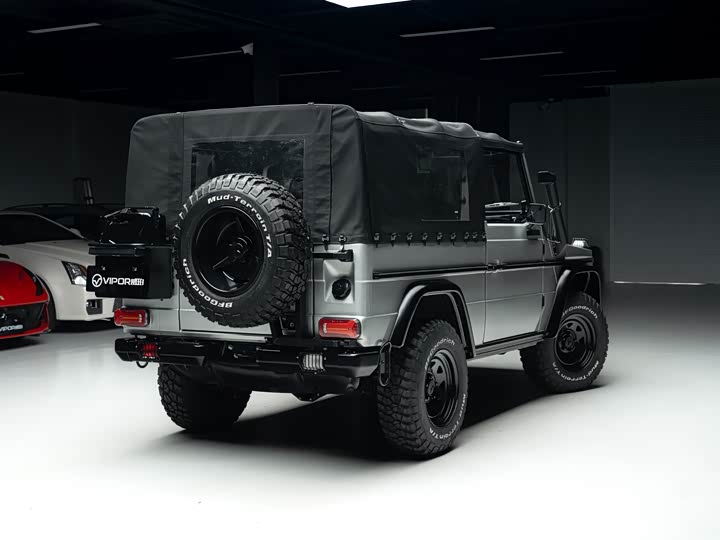 Mercedes-Benz G-Class 2016 G 250 GD — фото 3