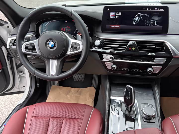 BMW 5-Series 2021 530 Li x Drive M — фото 8