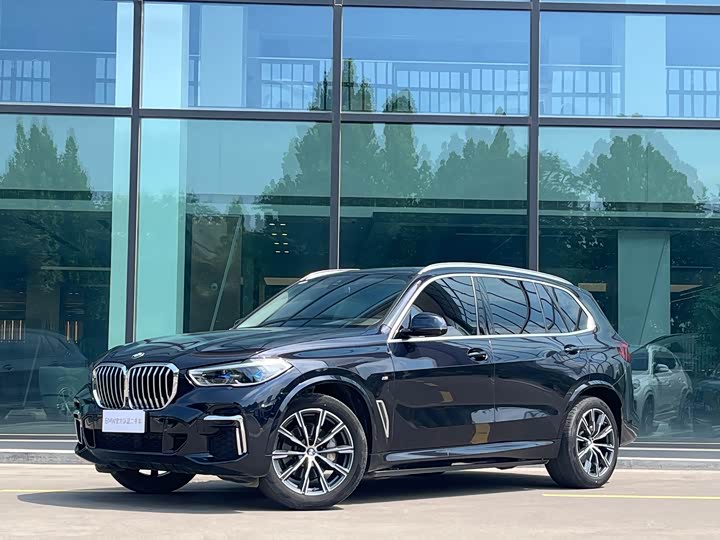 BMW X 5 2023 x Drive 30 Li M