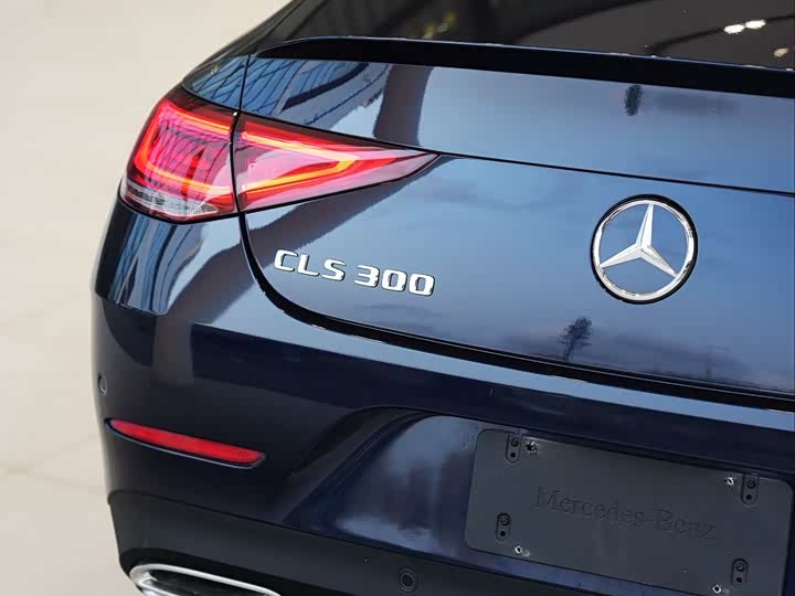 Mercedes-Benz CLS 2021 CLS 300 Luxury — фото 16