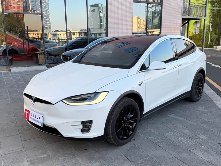 Tesla Model X 2019 — фото 1