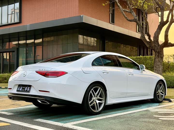 Mercedes-Benz CLS 2020 CLS 260 — фото 18
