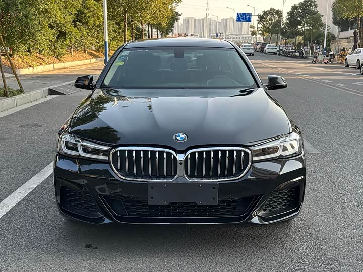 BMW 5-Series 2014 525 Li — фото 13