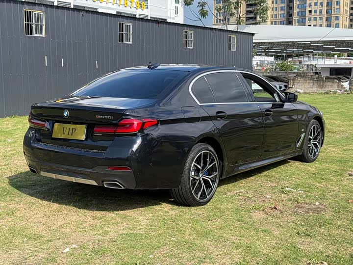 BMW 5-Series 2021 530 Li Leading M — фото 4