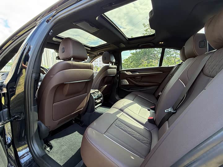 BMW 5-Series 2021 530 Li Leading M — фото 8