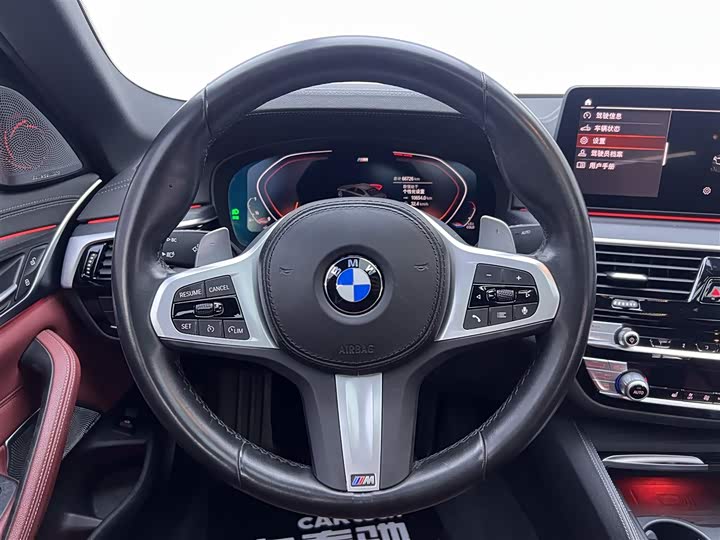BMW 5-Series 2022 530 Li Leading M — фото 14