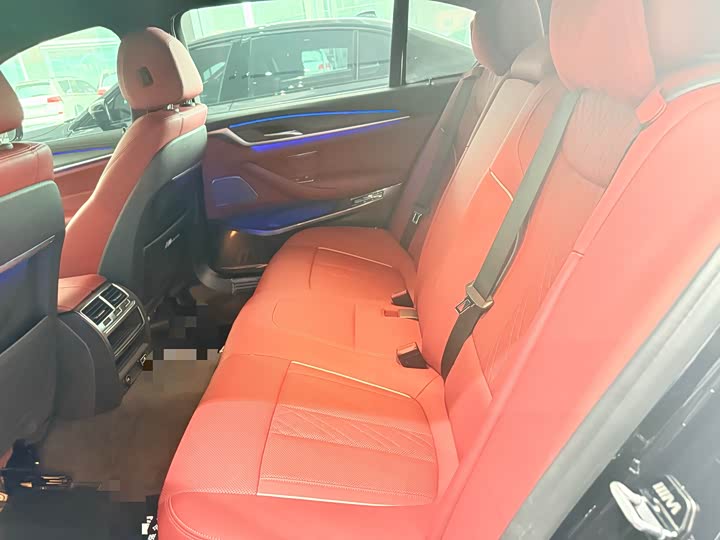 BMW 5-Series 2021 530 Li Leading M — фото 6