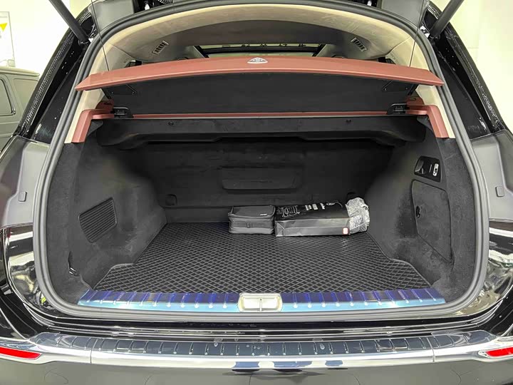 Maybach GLS 2022 GLS 600 4 MATIC — фото 15