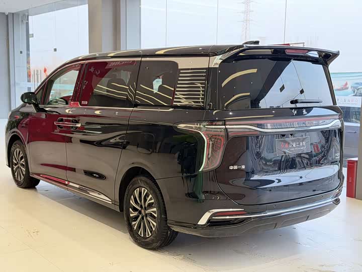 Hongqi HQ9 PHEV 2024 2.0 T 4 WD — фото 9