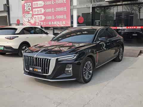 Hongqi H5 2025 1.5 T DCT — фото 8